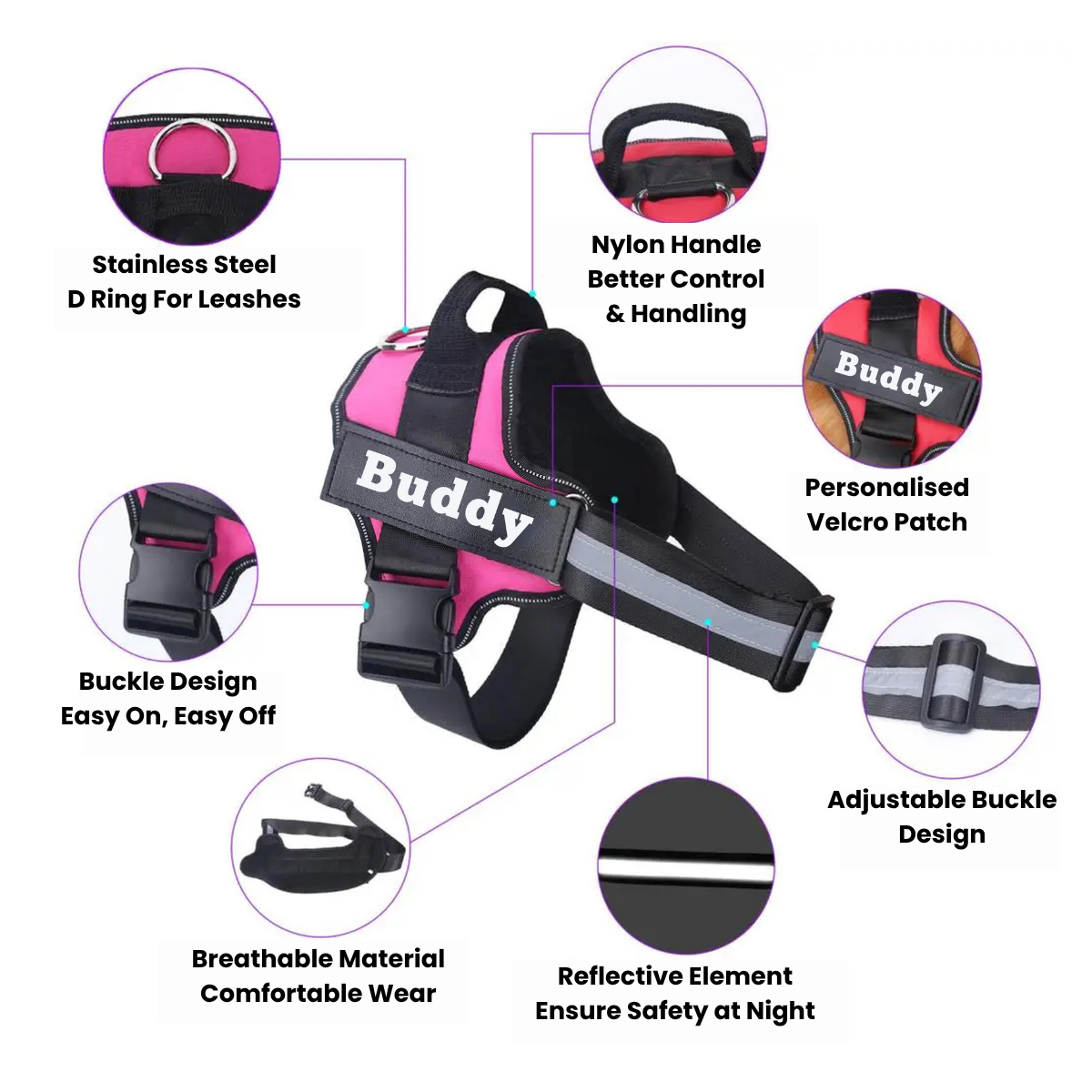 More Comfort. More Control. More Joy on Every Walk!